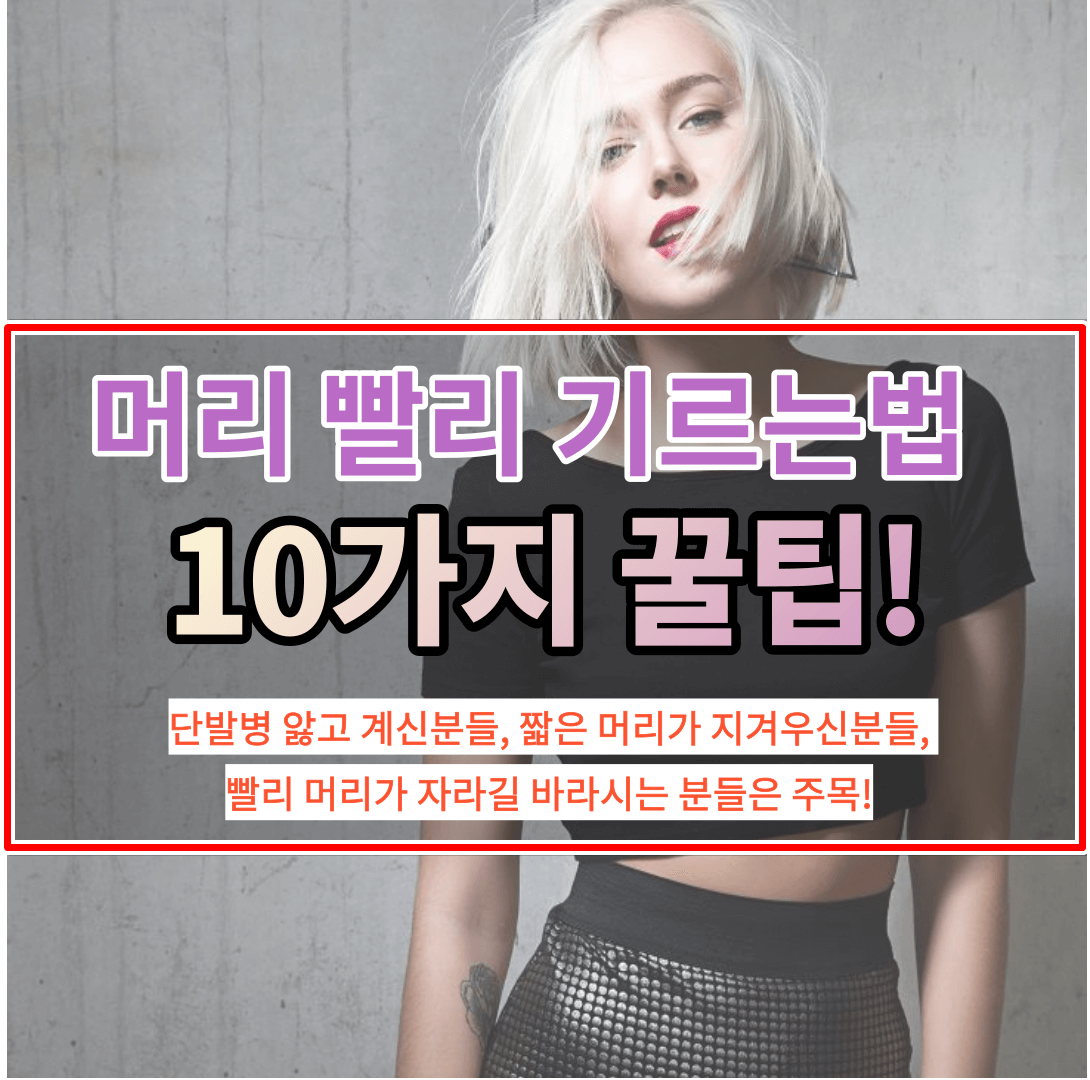 머리 빨리 기르는 법