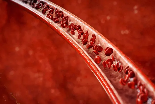 리서쳐스 투비컷 부작용 효능 성분 2BCUT 후기 복용법 가격