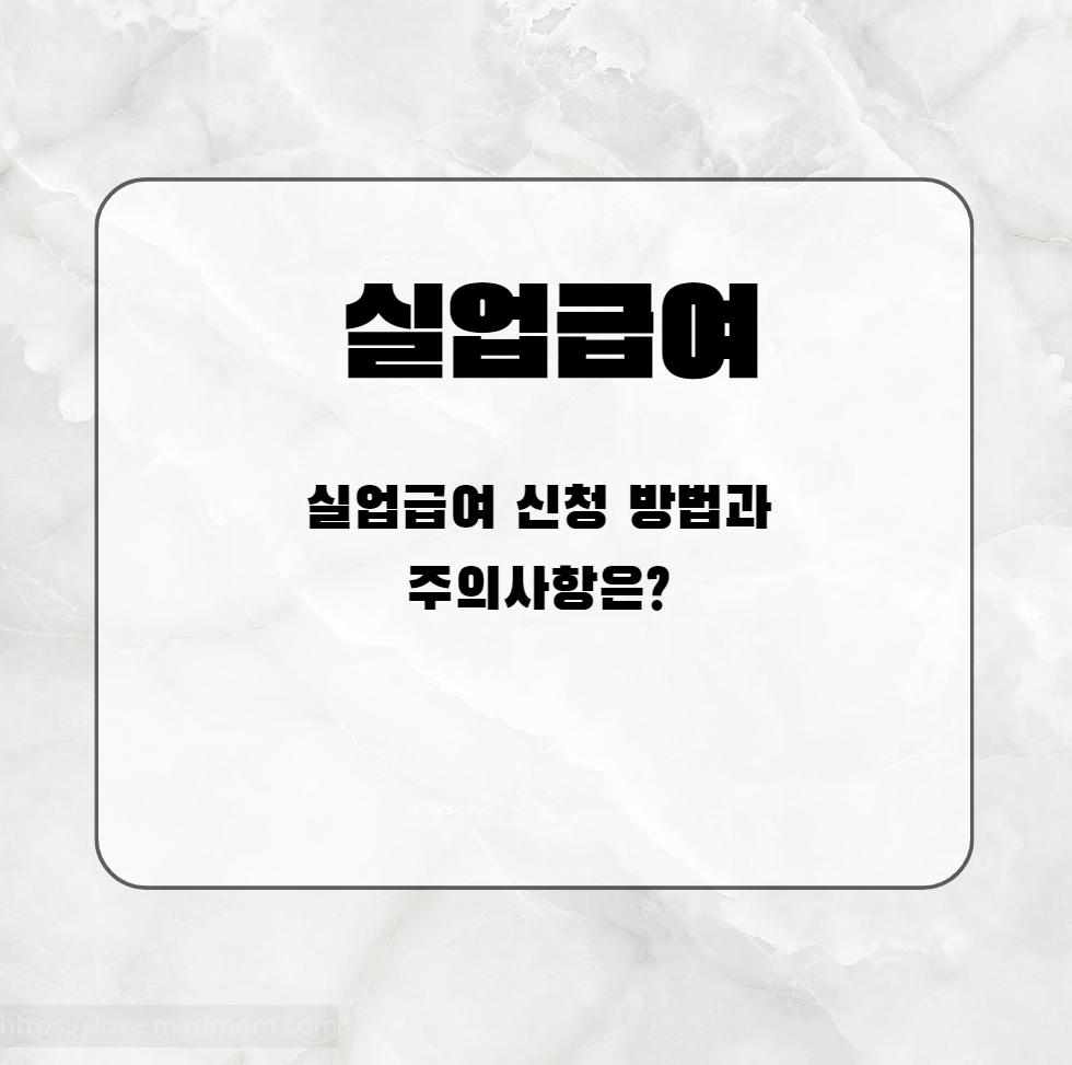 실업급여 신청방법과 주의사항