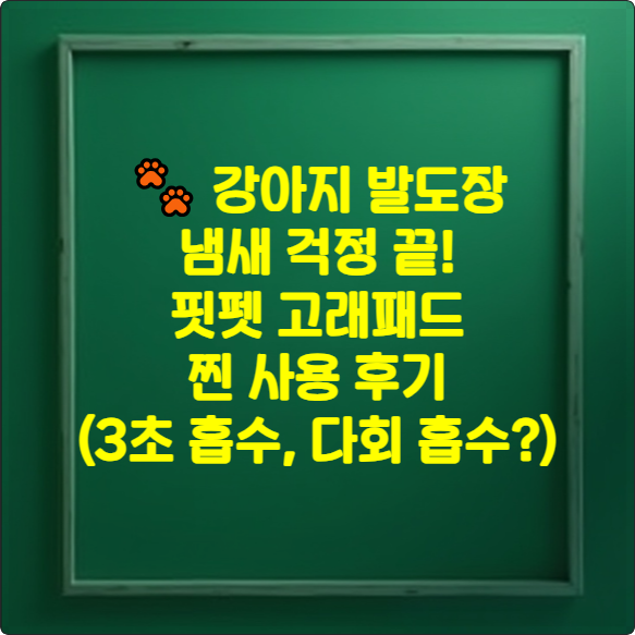 강아지 배변패드 썸네일