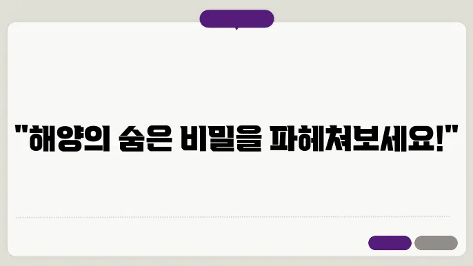대륙붕과 해저 협곡: 해양 질질학의 실4