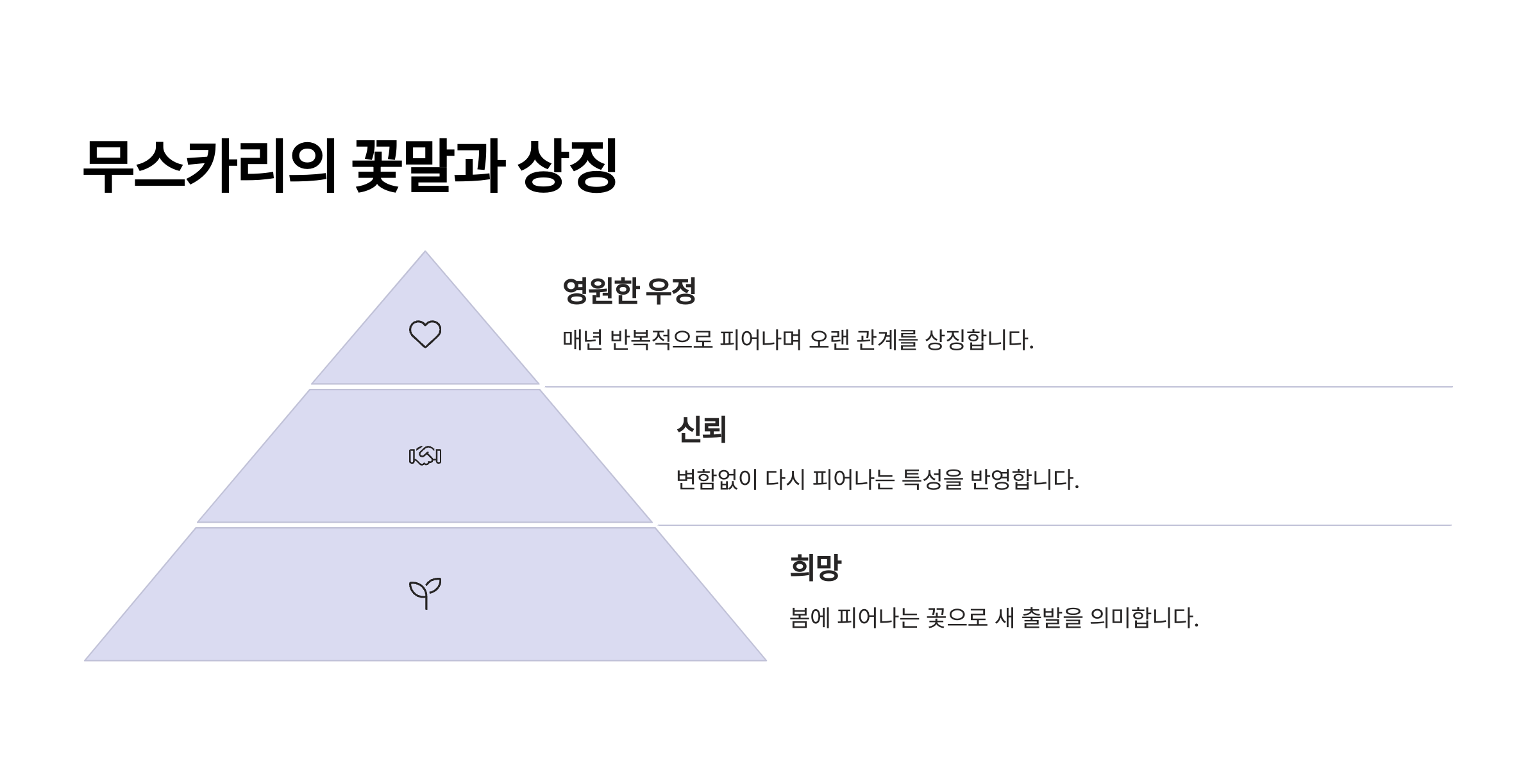 무리카리 꽃 사진