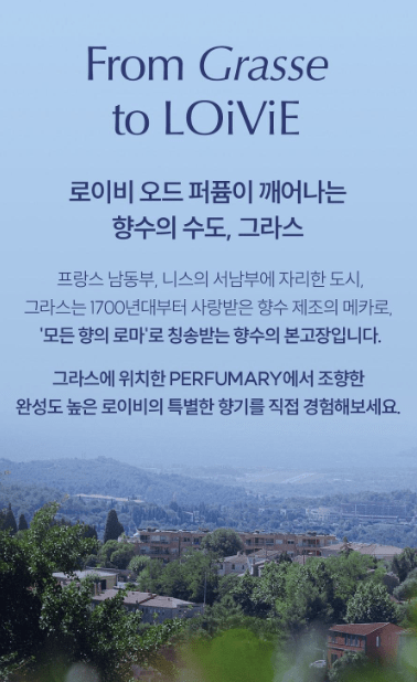 로이비 오 드 퍼퓸 관련사진4