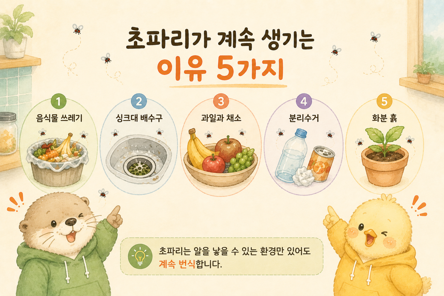 초파리가 계속 생기는 주요 원인인 음식물 쓰레기, 배수구, 과일, 분리수거, 화분 흙을 정리한 인포그래픽