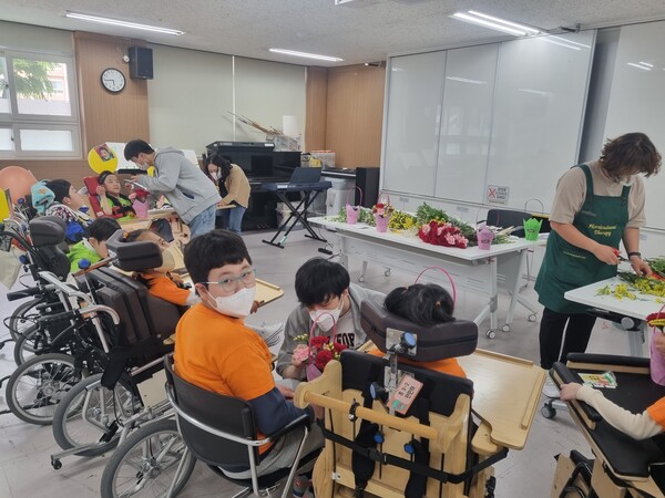 일반학교 vs 특수학교 관련 이미지