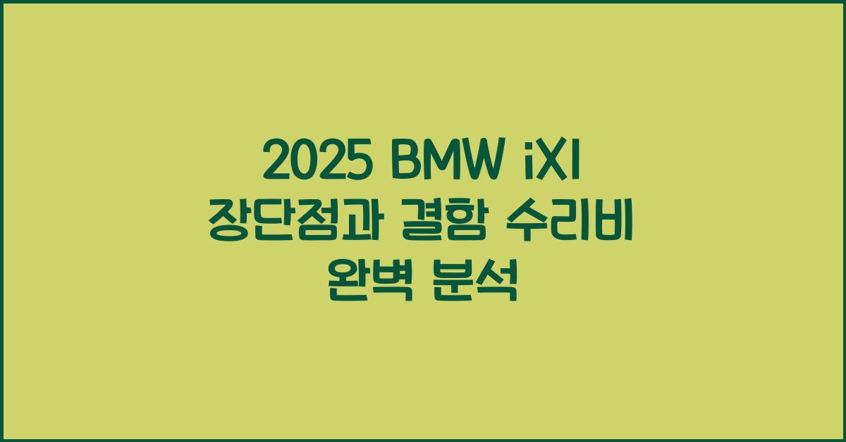 2025 BMW iX1 장단점 결함 수리비