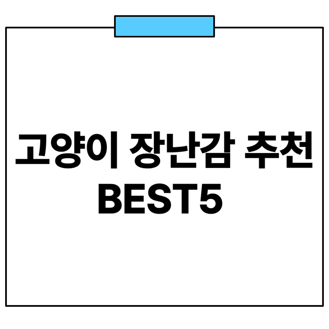 고양이 장난감 추천 BEST5