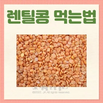 렌틸콩 밥하는 초간단 조리법과 건강 정보_13