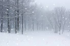 2025년 첫눈 예보