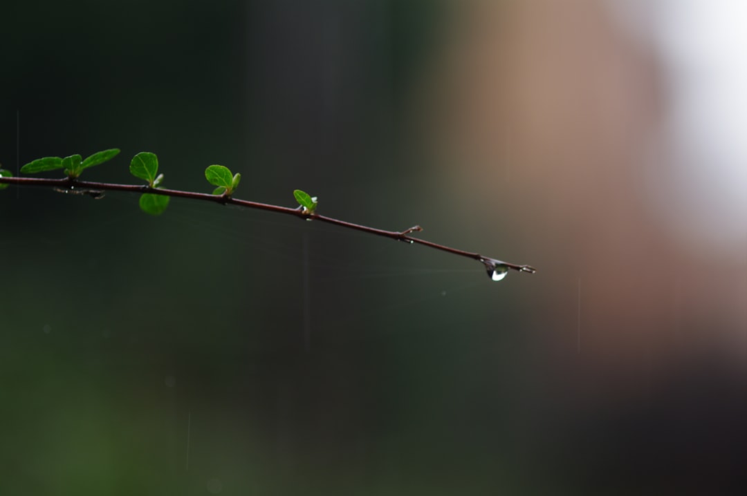 Stabilization