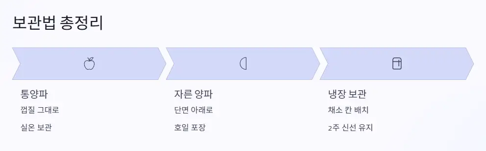 보관법 정리