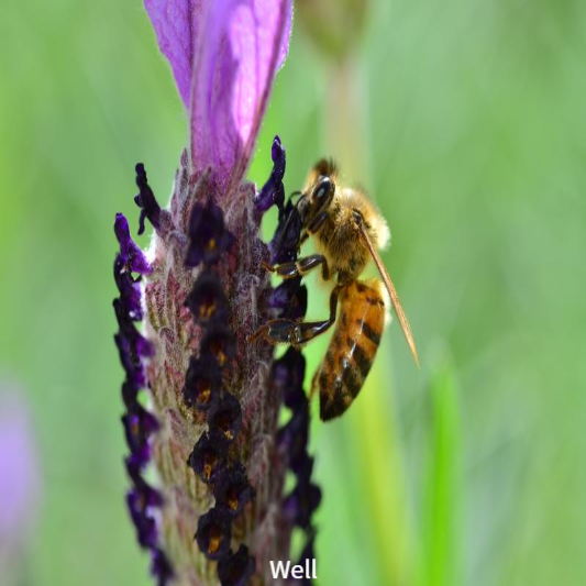 비염에 좋은음식