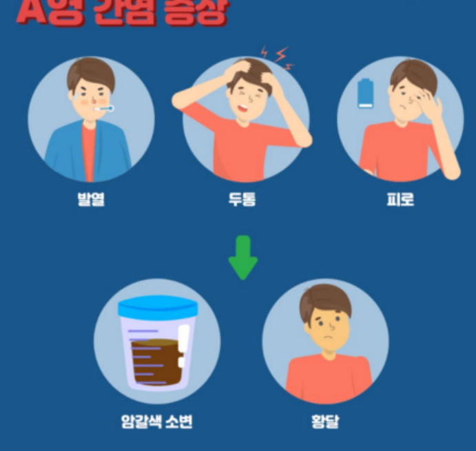 A형 간염 증상
