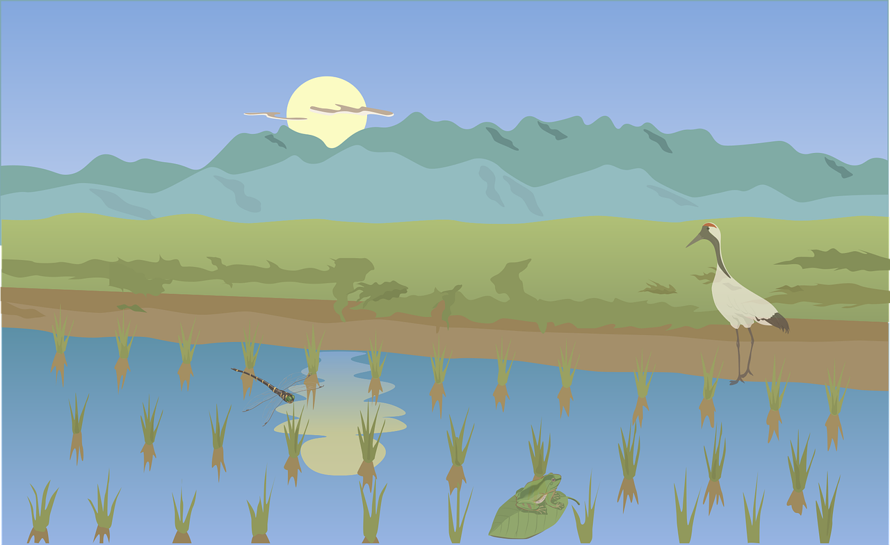 다낭 풍경 사진