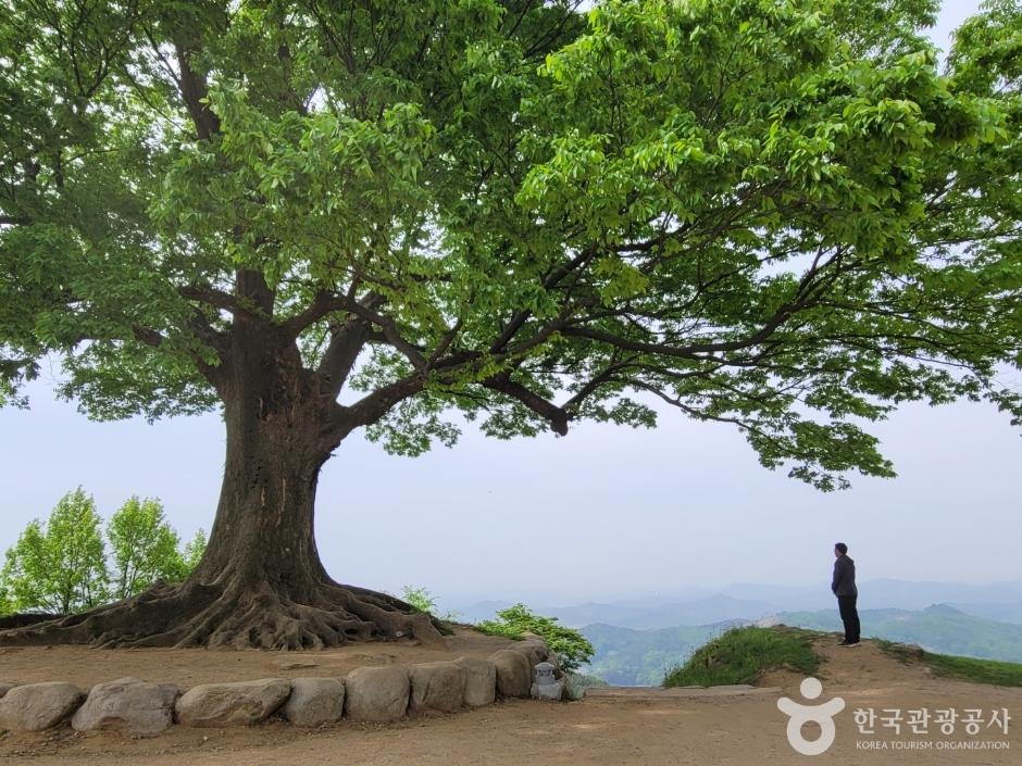 부여 가볼만한곳 베스트10