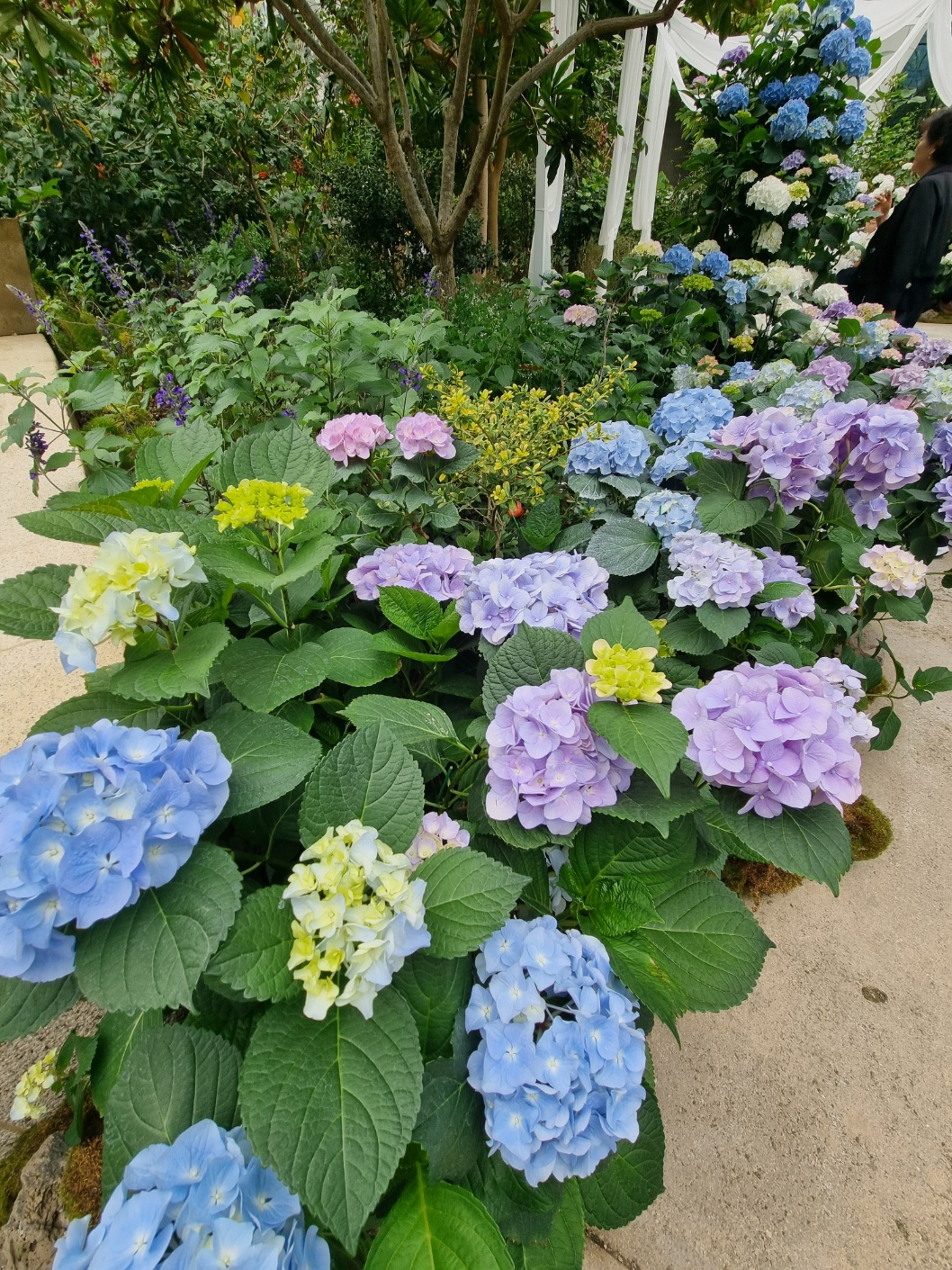 서울식물원 가는길