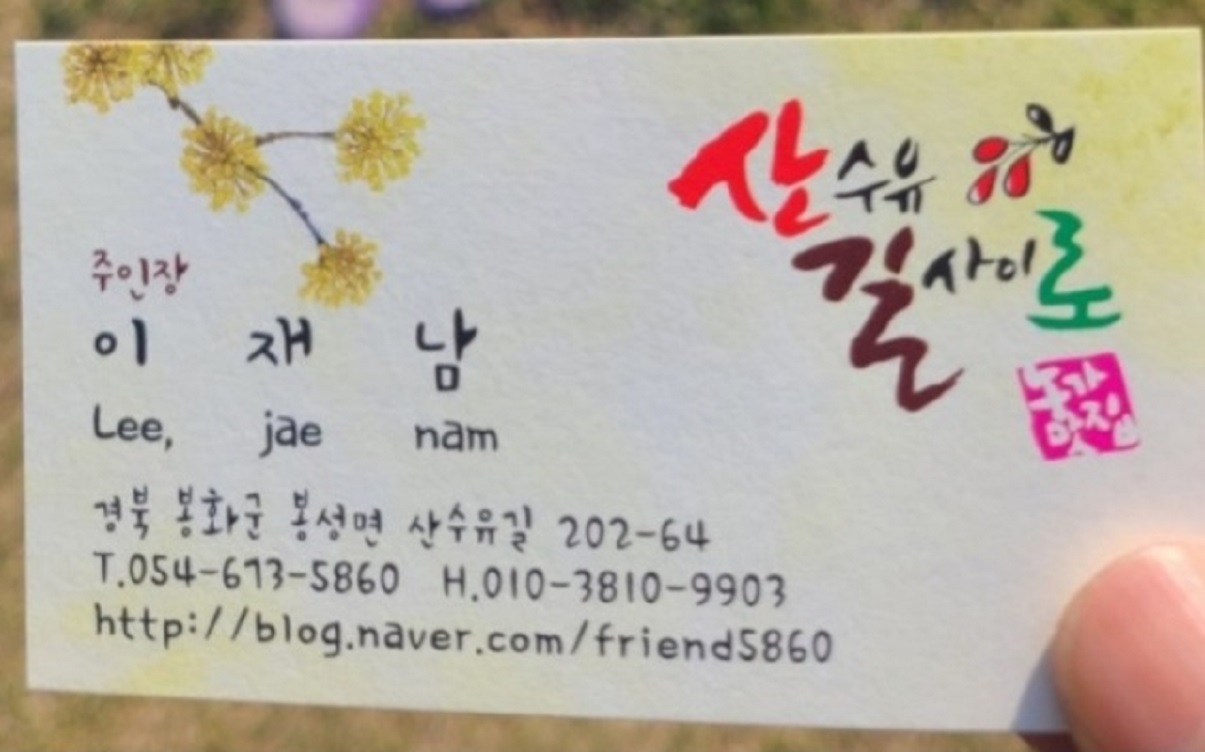봉화-두부밥상-산수유길사이로