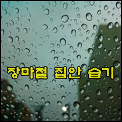 장마철 집안 습기