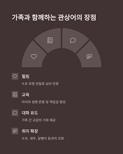 가족과 함께하는 관상어 키우기의 장점