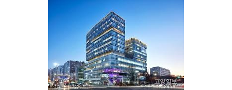 고양 일산동구 정형외과