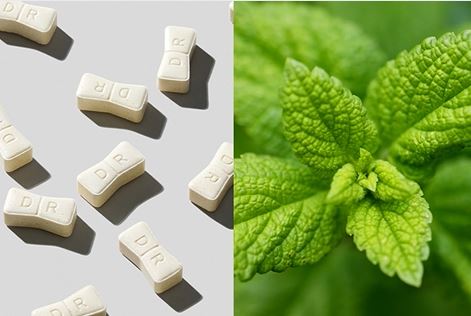 나비정-효과-효능