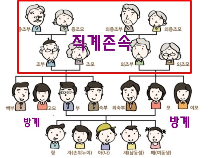 직계존비속,방계혈족