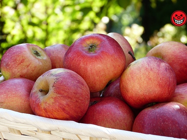 당뇨에 좋은 곡물