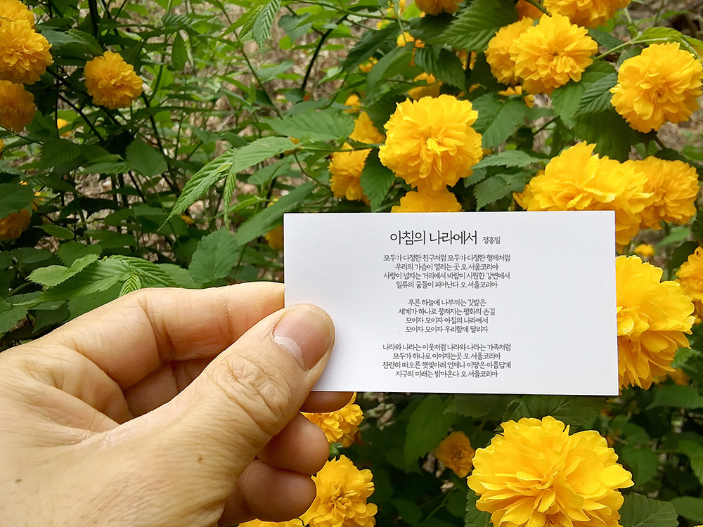 정홍일의 아침의 나라에서