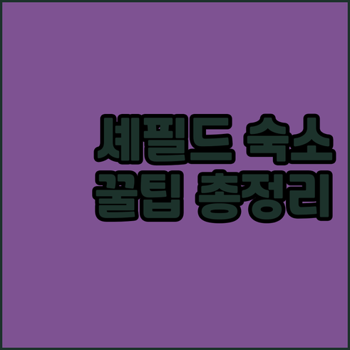 셰필드 숙박 정보 총정리 위치 가격 