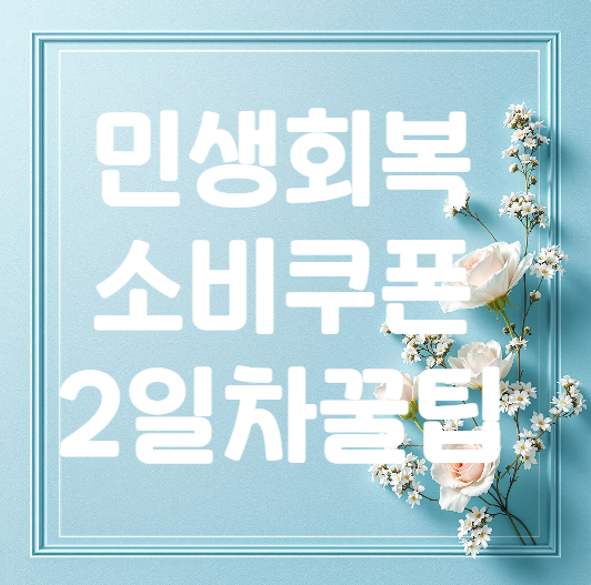 전국민 민생회복 소비쿠폰 (첫날 신청 후기+2일차 꿀팁)