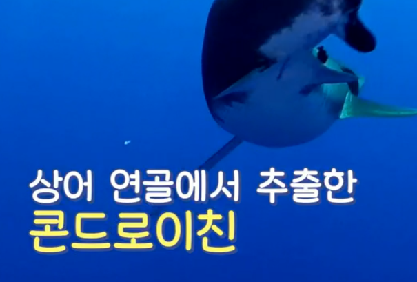 콘드로이친