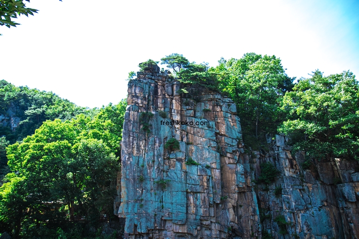 단양 가볼만한곳