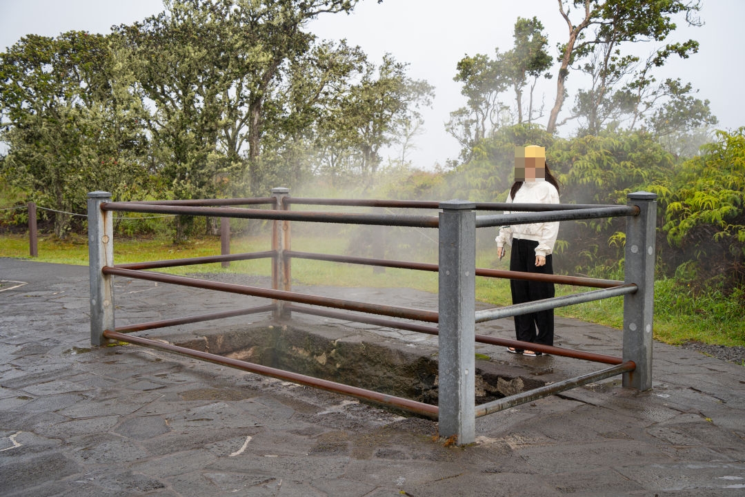 하와이 스팀벤츠