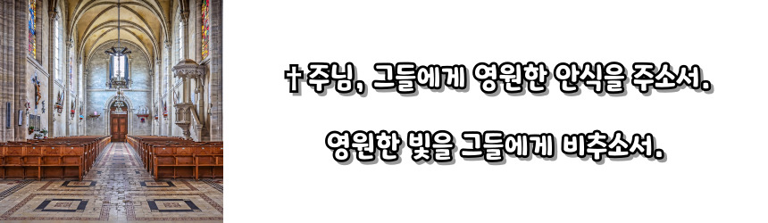 천주교 위령 성월 기도문_성월 기도