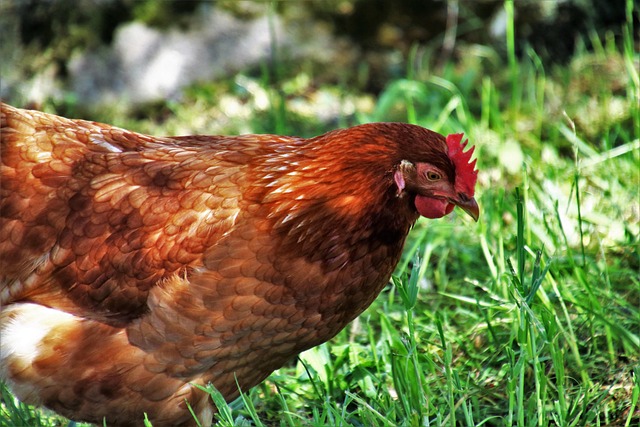 저축을 먼저 빼두는 구조가 효과적인 이유