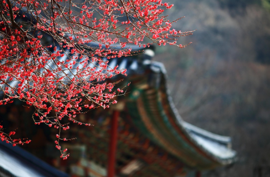 한부모 가족의 모습