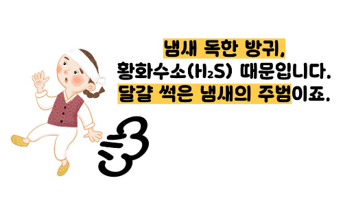 방귀 냄새가 심한 이유