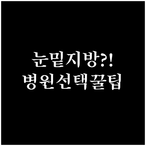 눈밑 지방 재배치 병원 선택과 상담 ..