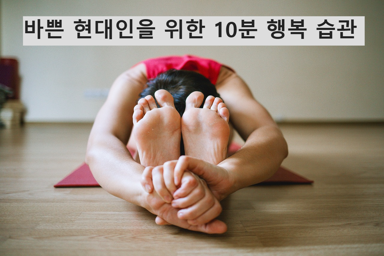 10분 홈트 요가