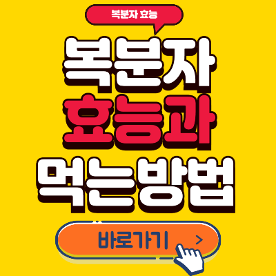 복분자효능