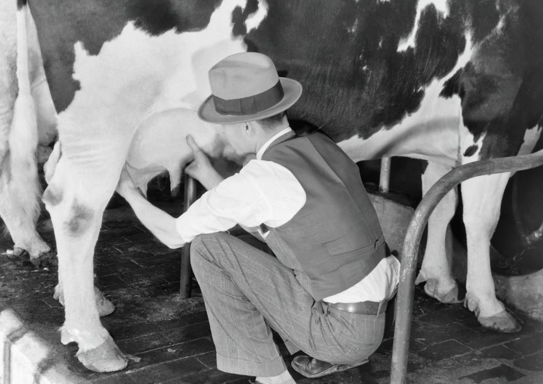 examination