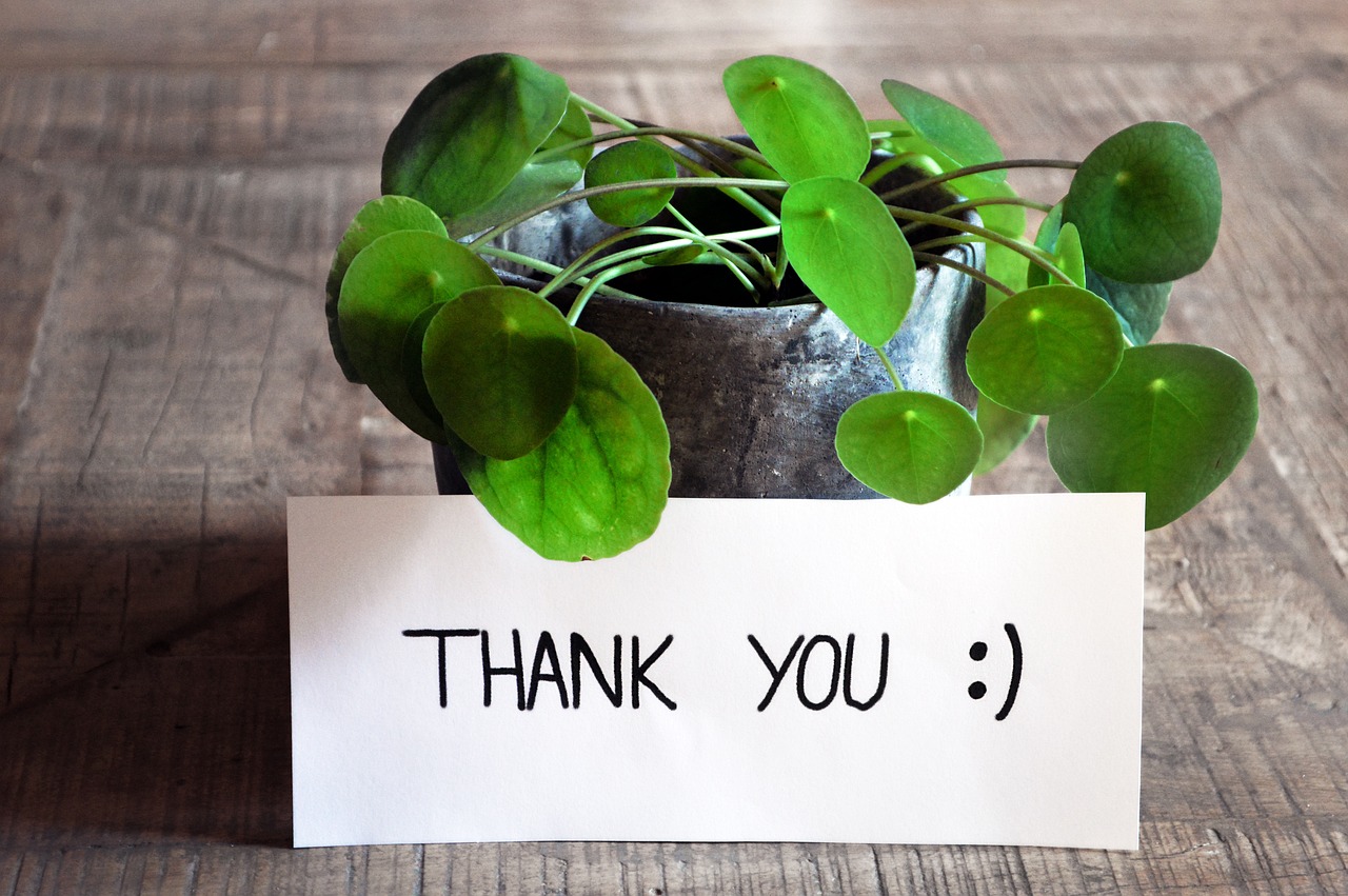 A pot with Thank you sign