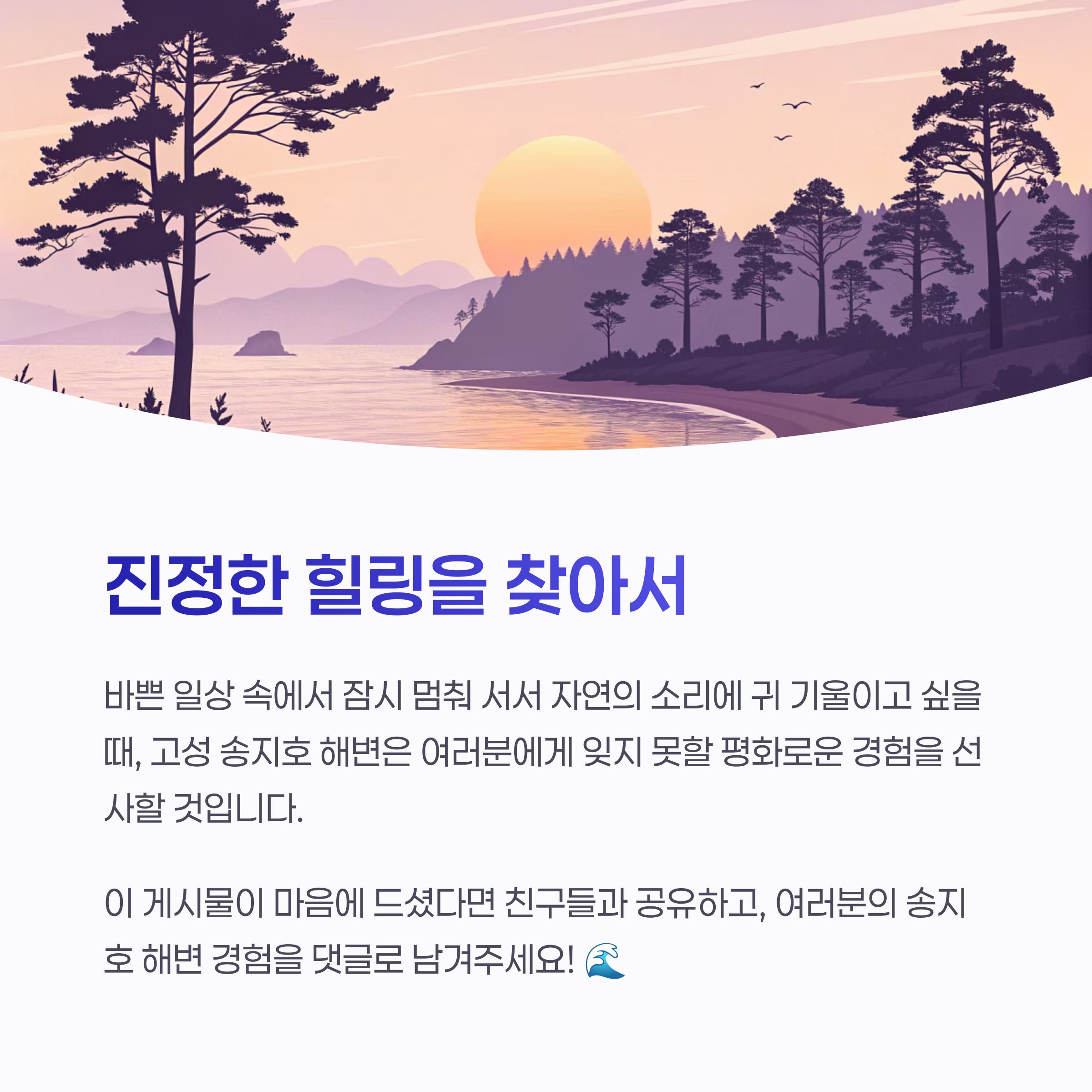강릉 대신 고성 송지호 해변! 바다와 호수를 동시에 즐기는 완벽 힐링 여행