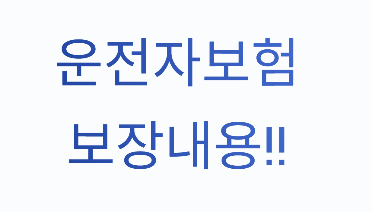 운전자보험 보장내용