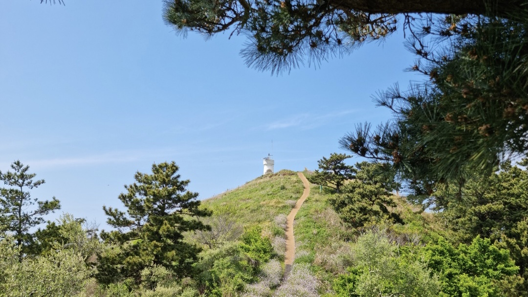 제주비양도