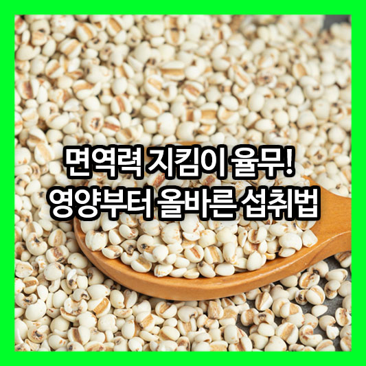 면역력 지킴이 율무! 영양부터 올바른 섭취법까지 완벽 가이드!
