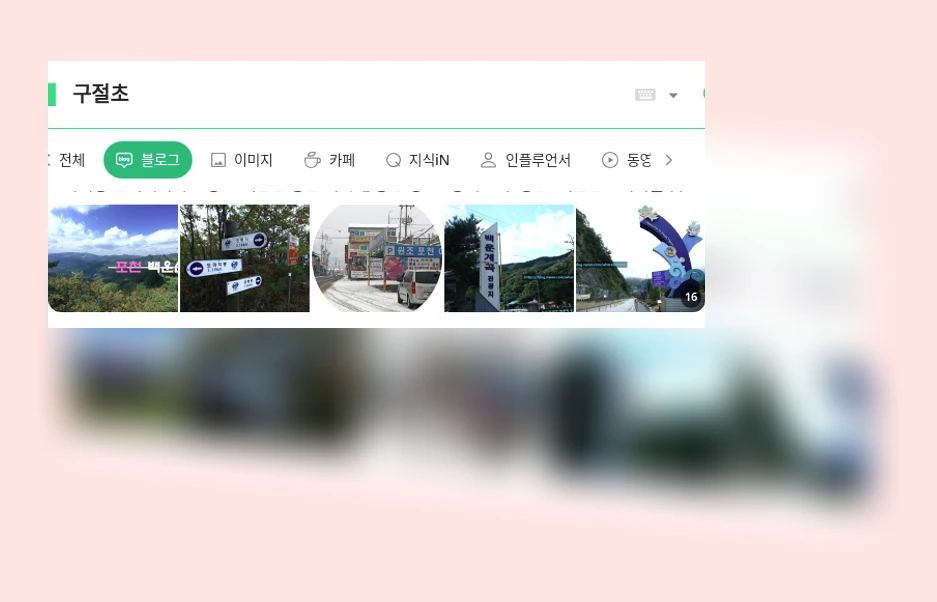 구절초_1_subsection