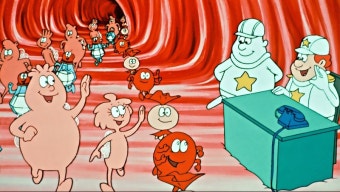 세포 교체 주기