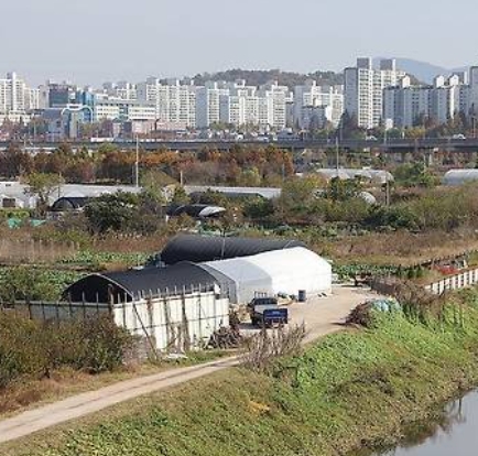 그린벨트 해제