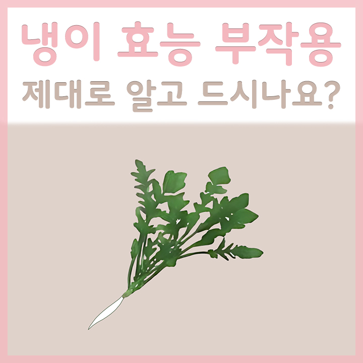 냉이